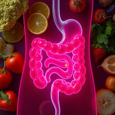 Digestion & Gut Health