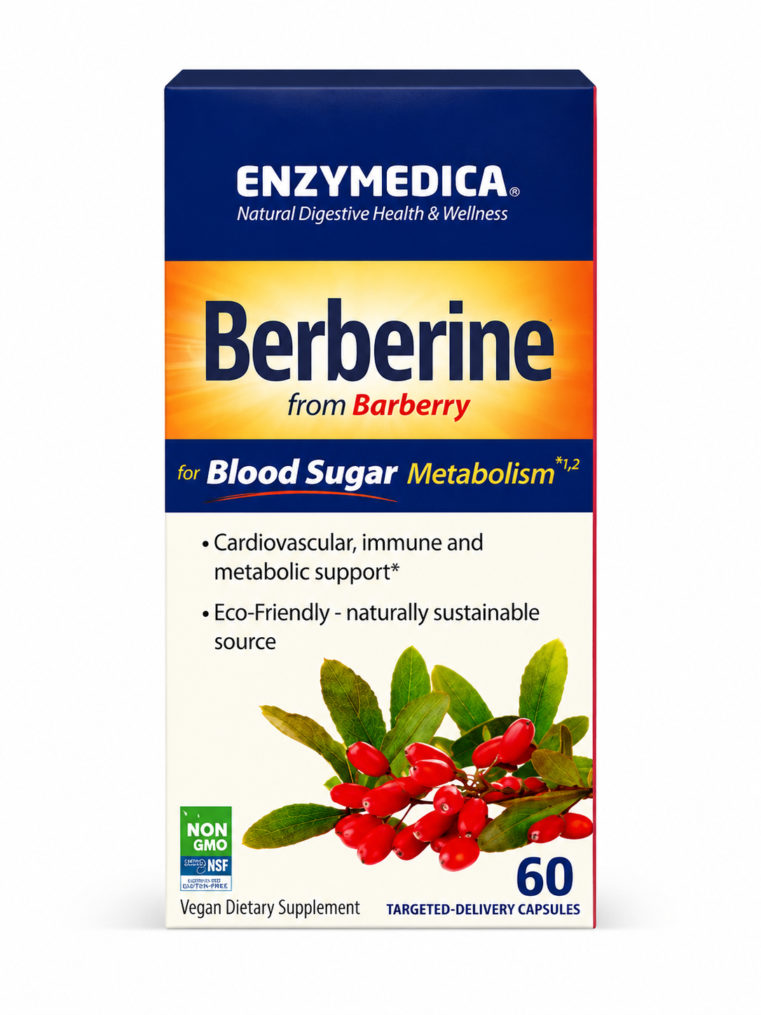 Enzymedica Berberine from Barberry 60 Targeted-Delivery Capsules